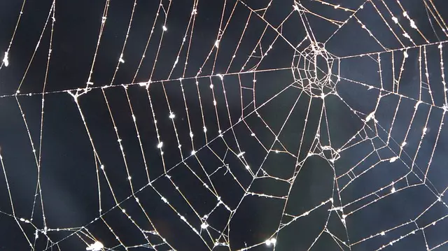 Core Web Vitals Optimization