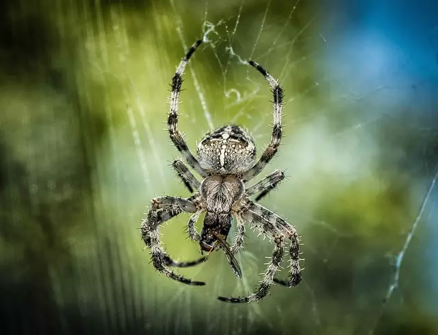 Core Web Vitals Optimization