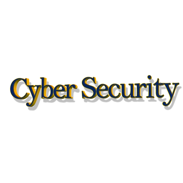 Cyber Insurance for Data Protection