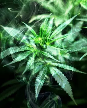 delta-8-thc-near-me-640x480-52377730.jpeg