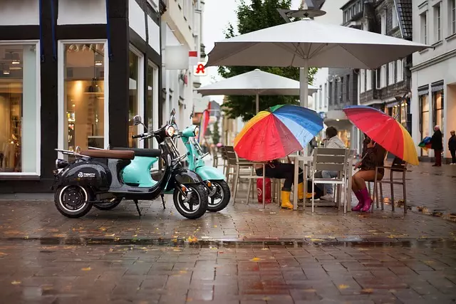 electric scooters for adults