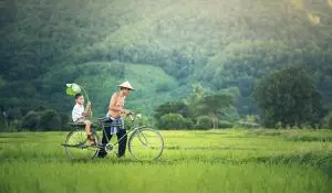 family-counseling-services-640x480-24640043.jpeg