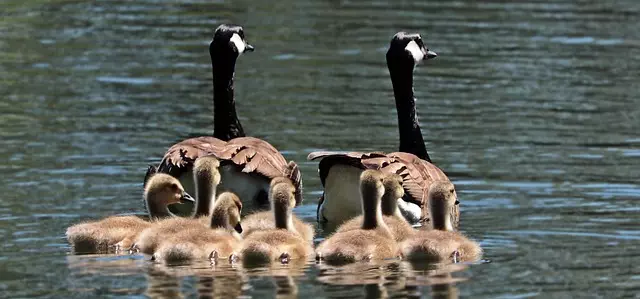 family-counseling-services-640x480-64471342.jpeg