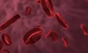 fat-cell-freezing-640x480-66749952.jpeg