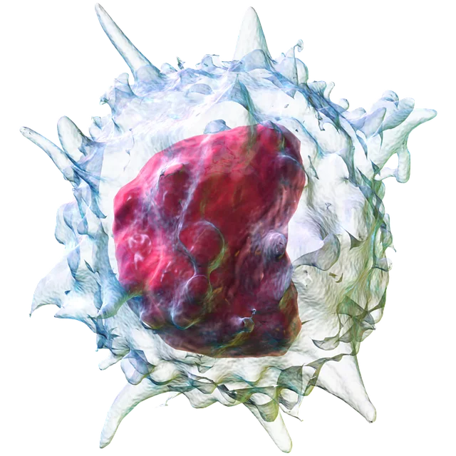 Freeze Fat Cells
