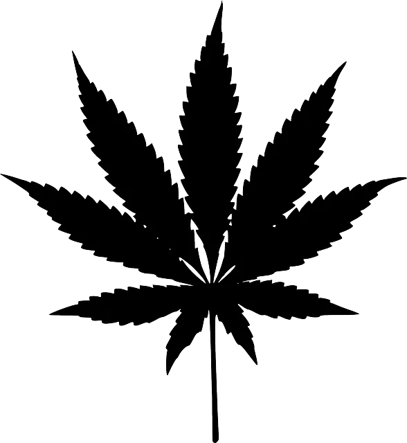 Full Spectrum Hemp Oil
