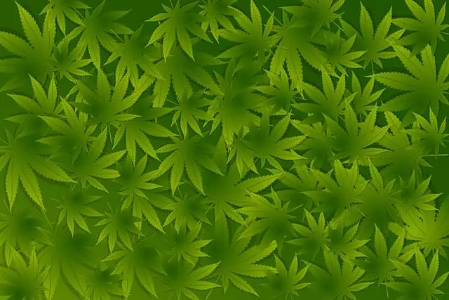 Full Spectrum Hemp Oil