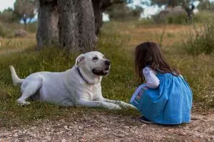heated-dog-house-640x480-75791287.jpeg