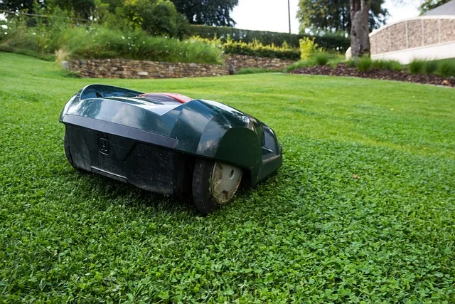 lawn-care-640x480-97994951.jpeg