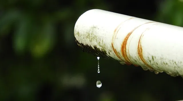 Leak Detection