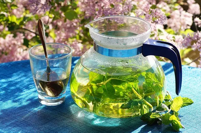 Mint Flavored CBD Tincture