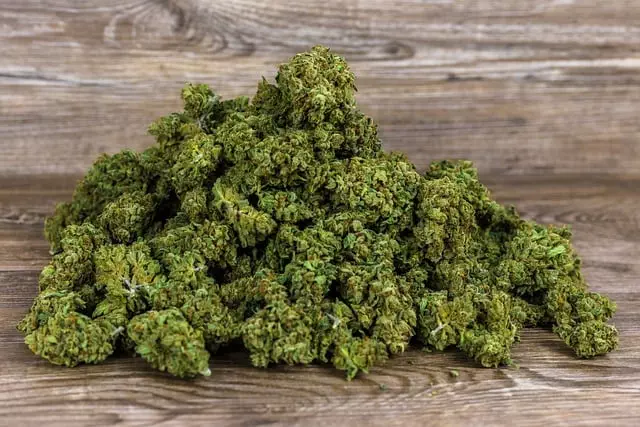mint-flavored-cbd-tincture-640x480-88784282.jpeg
