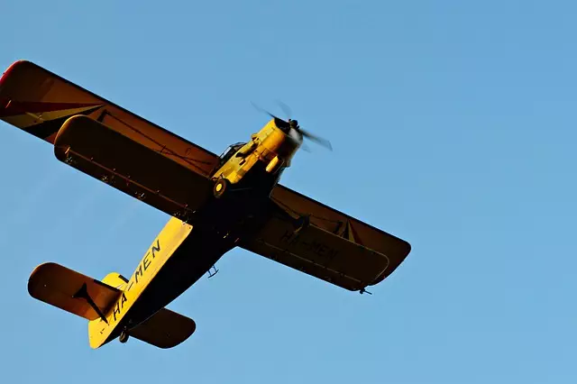 Mosquito Control