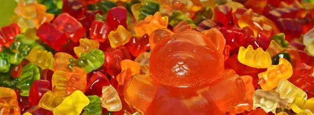 Mushroom Gummies for Focus