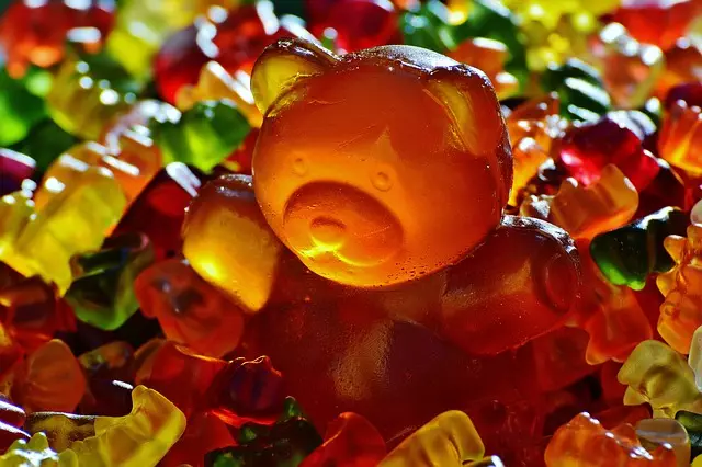 Mushroom Gummies for Focus