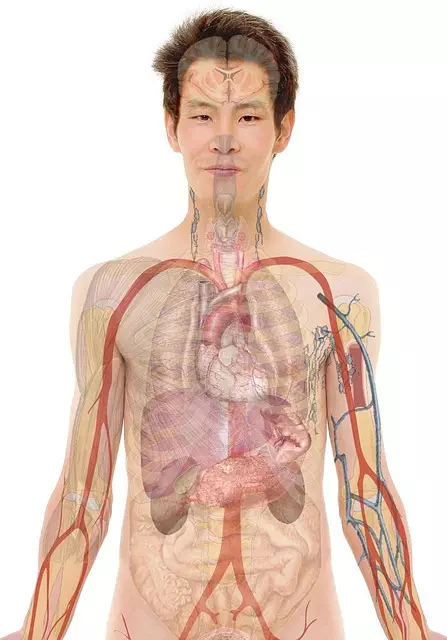 Non-Surgical Body Contouring