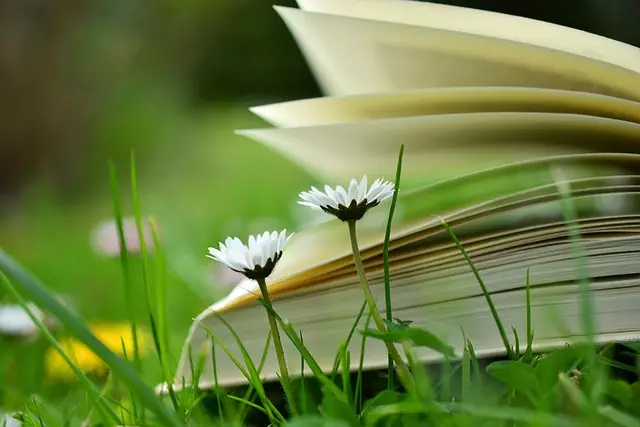On-Page Optimization Training
