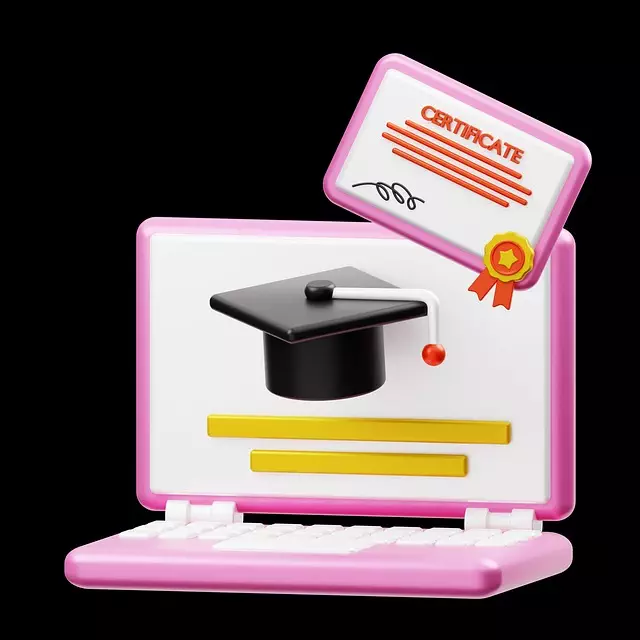 Online SEO Training