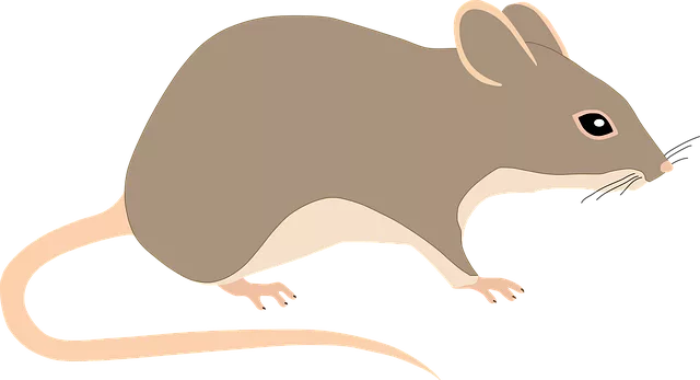 pest exterminator