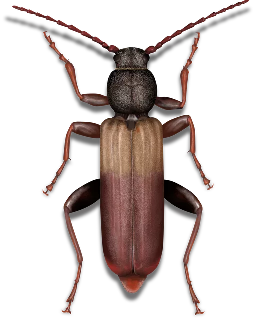 pest exterminator