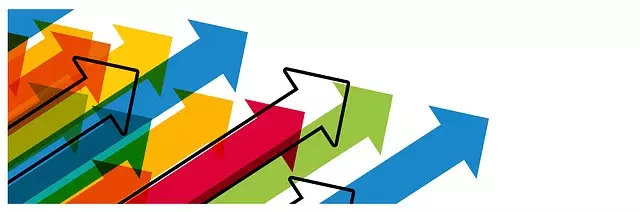 SEO Growth Strategies