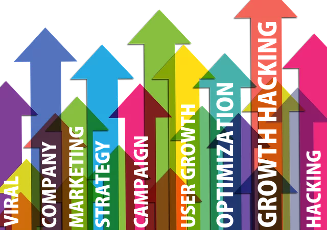 SEO Growth Strategies