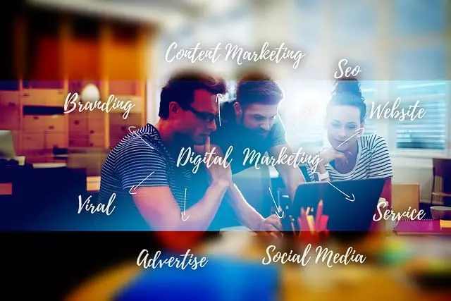 SEO Growth Strategies