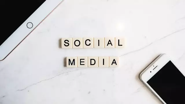 SEO Online Training
