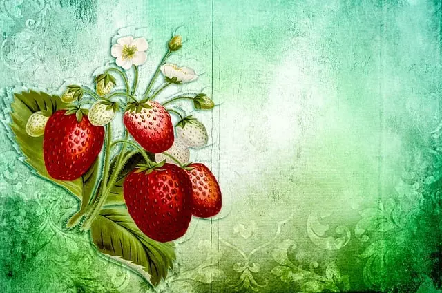 strawberry-rosin-gummies-640x480-41209875.jpeg
