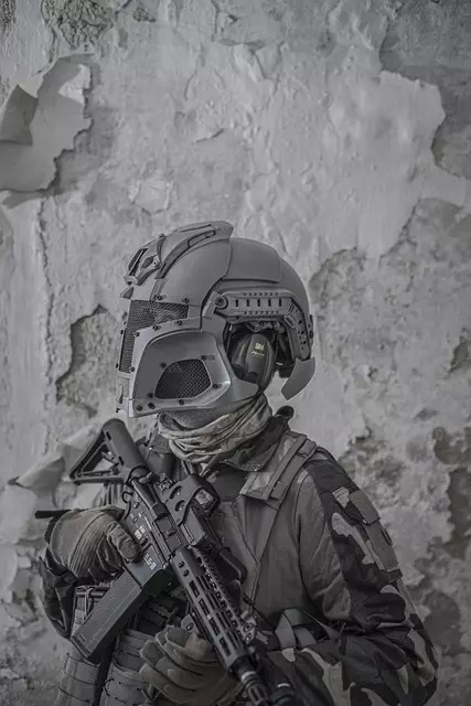 tactical dog vest