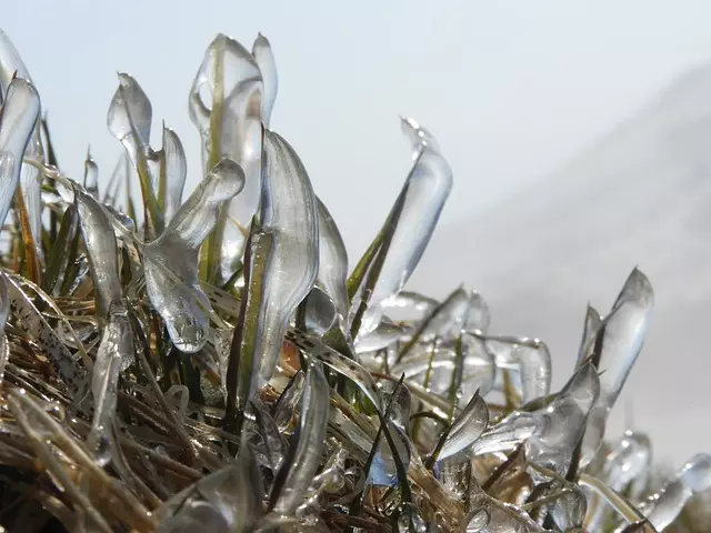 Thigh and Arm Fat Freezing