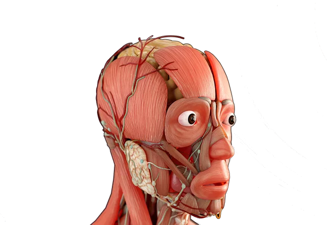 Understanding the Endocannabinoid System