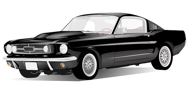 Affordable Car Insurance for New Drivers