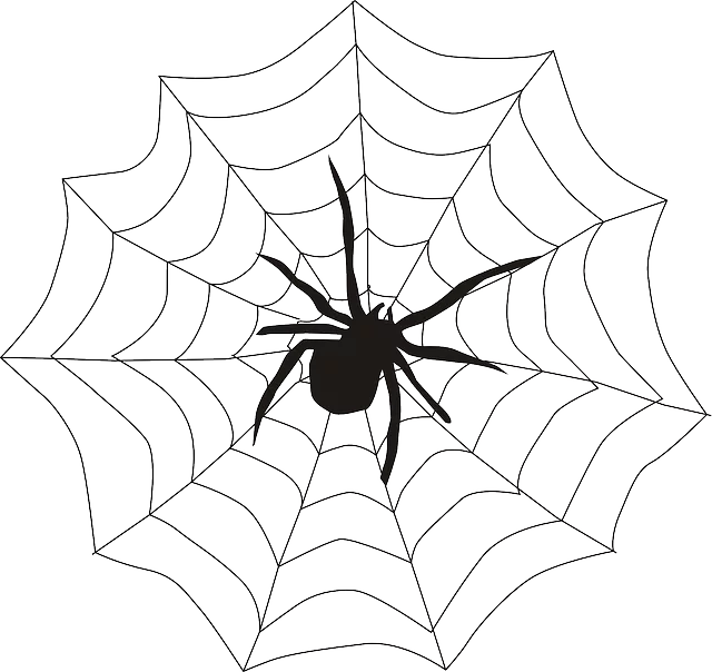 affordable web design