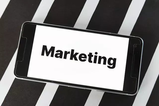 AI SEO Training
