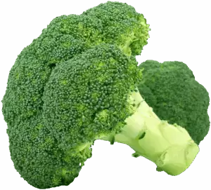 best-cbd-edibles-640x480-31639560.png