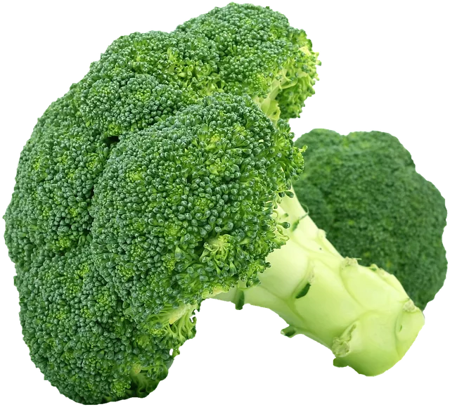best-cbd-edibles-640x480-31639560.png