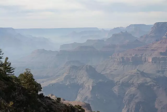 Bodify Arizona