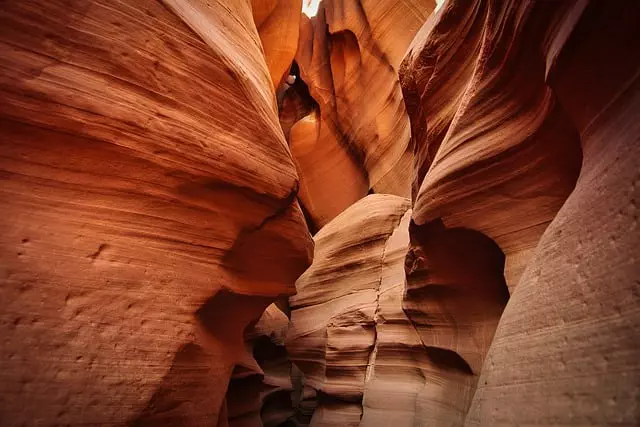 Bodify Arizona