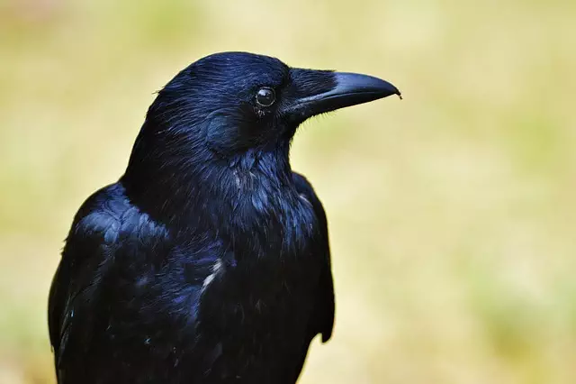 botox-for-crows-feet-and-smile-lines-640x480-55253502.jpeg