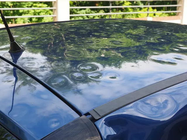 Car Insurance