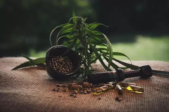 CBD Pain Relief Cream