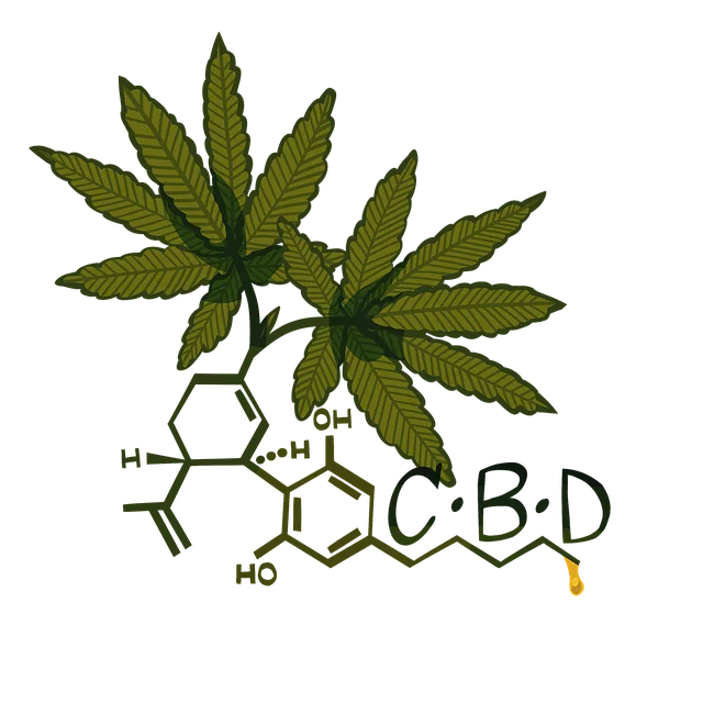 CBD Pain Relief Cream