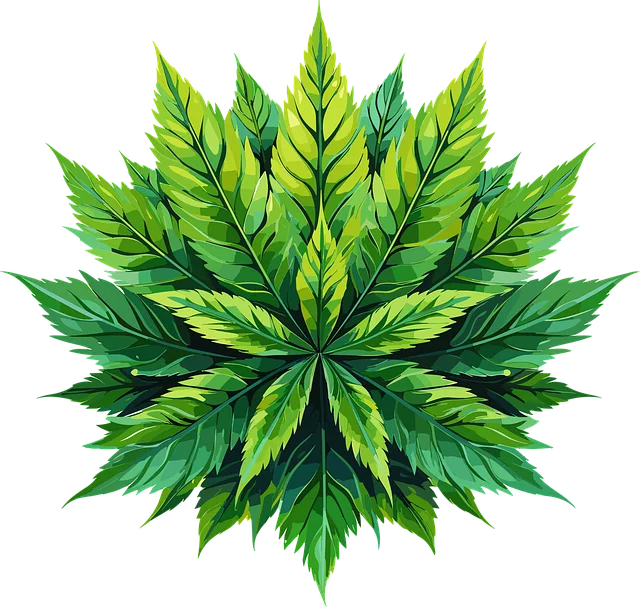 CBD Vape Cartridge