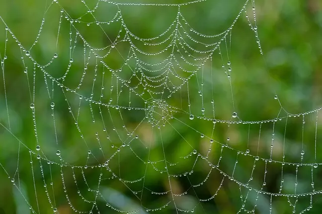Core Web Vitals Optimization