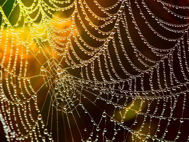 Core Web Vitals Optimization