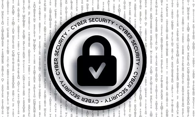 cyber-insurance-for-data-protection-640x480-4360665.jpeg