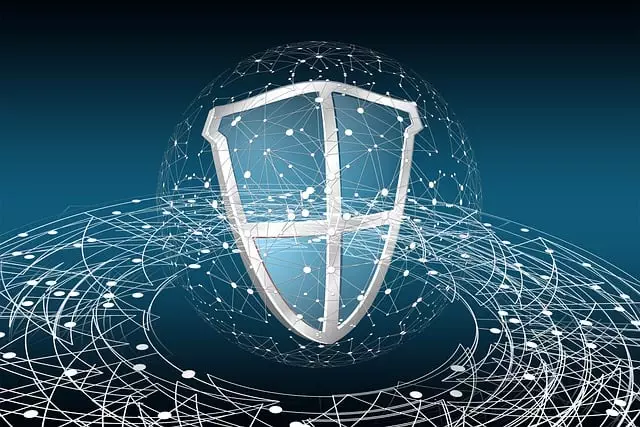 Cyber Insurance for Data Protection