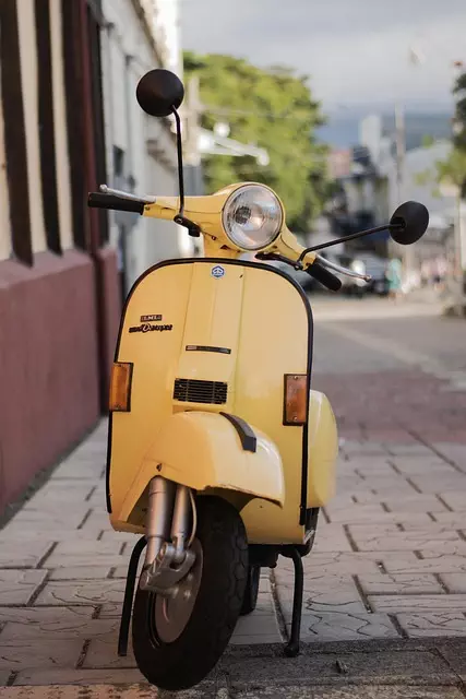 electric scooters for adults