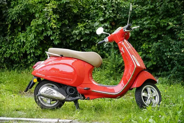 electric scooters for adults